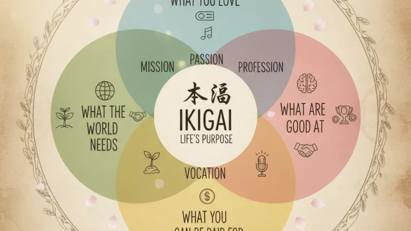 Day 2/100 Ikigai