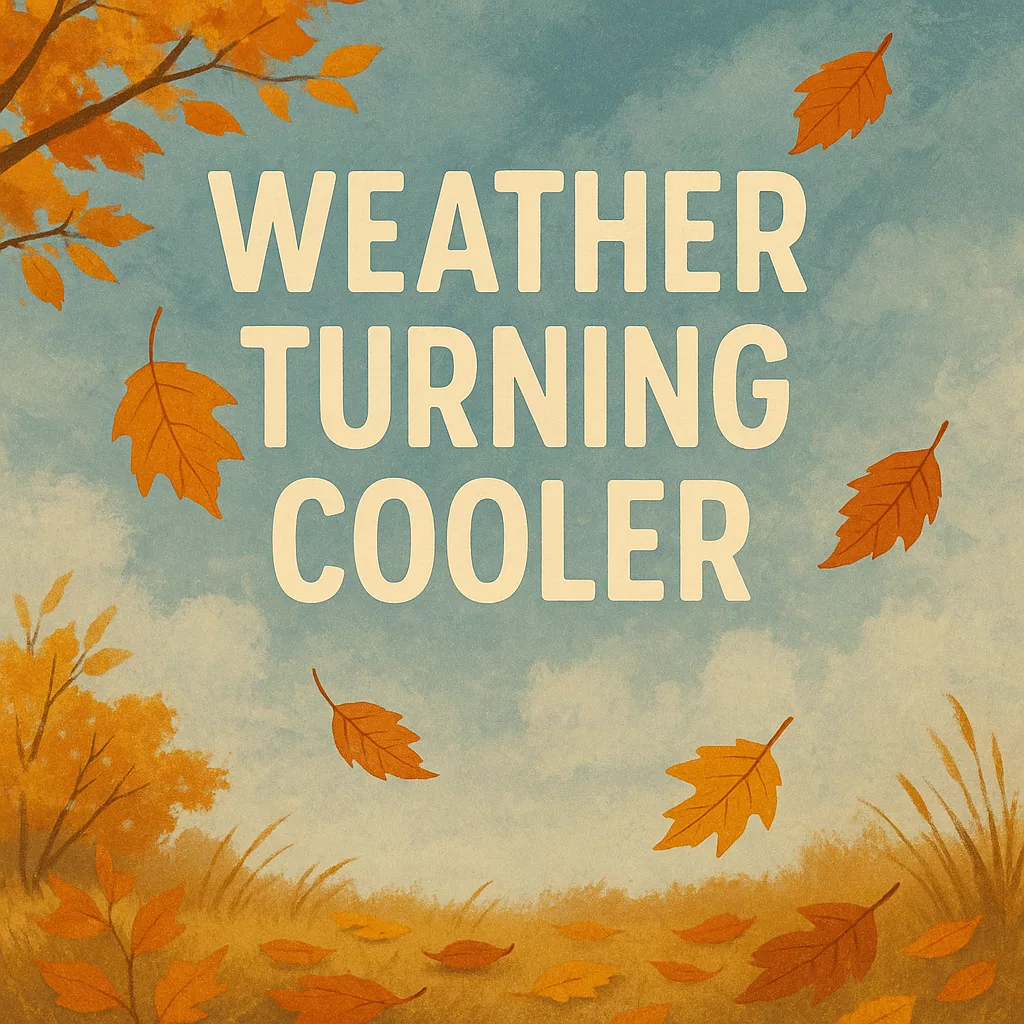 Day 13/100 Turning Cool